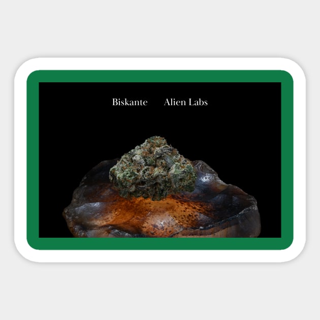 Biskante on Rock - Weed Design Sticker by MrGreenGenes420